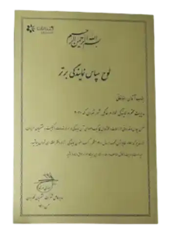لوح تقدریر نمایندگی برتر گلدیران